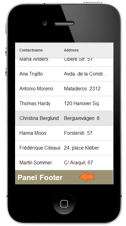 Panelfooter